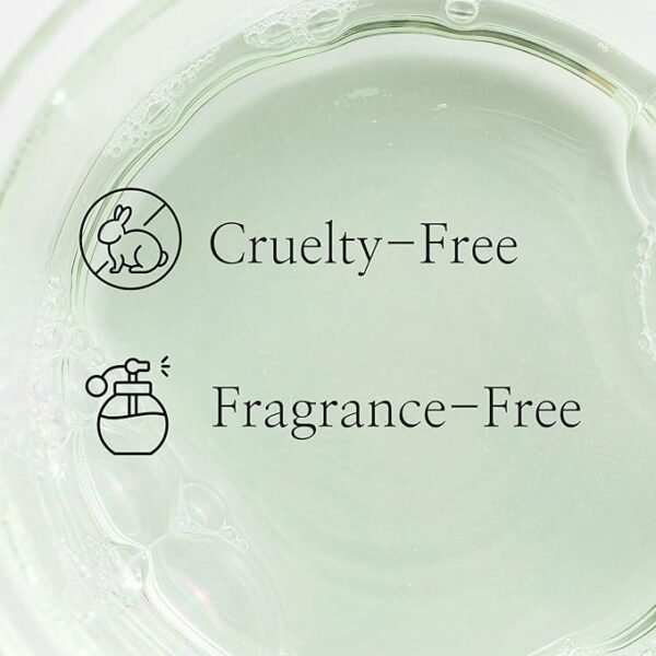Beauty of Joseon Green Plum AHA BHA Toner Refreshing Facial Essence Moisturizer Mild Exfoliating Salicylic Acid for All Skin Types, Korean Skin Care - Image 6
