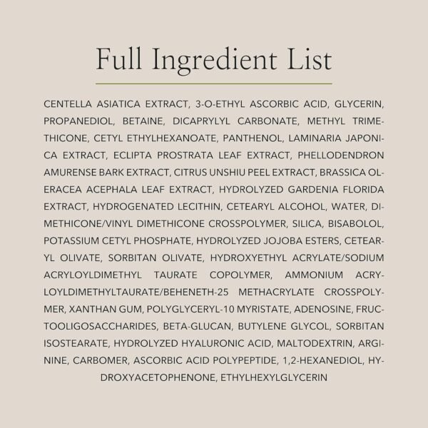 Beauty of Joseon Light On Serum Vita C Centella Dark Spot Fine Lines Pigmentation Correcting Serum, Hydrating Moisturizer, Korean Skin Care - Image 5